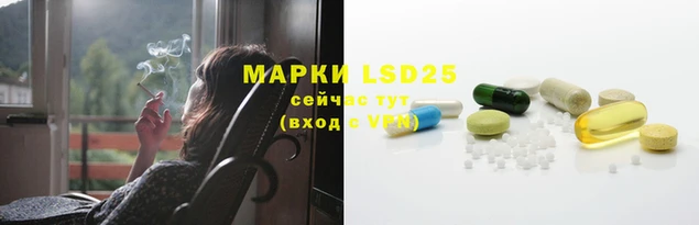 ешки Богданович