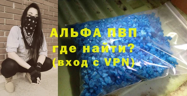 стафф Бородино