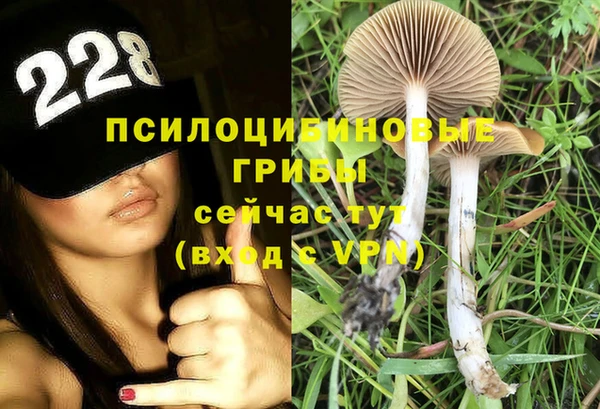 ешки Богданович