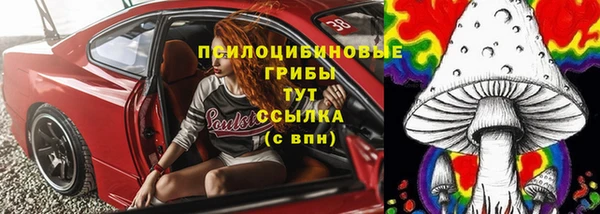 стафф Бородино