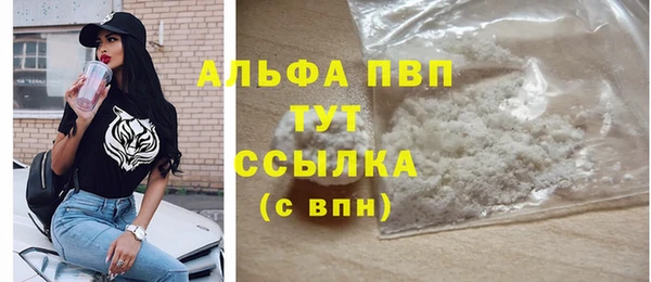 ешки Богданович